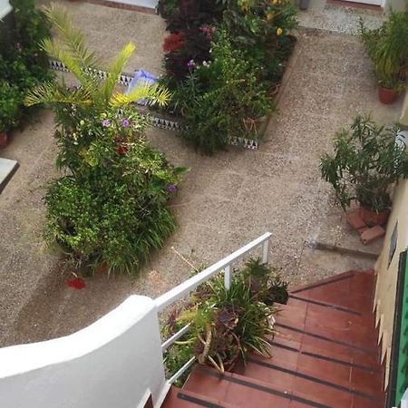 Apartamento Con Azotea Privada Para Parejas Y Familias 科尼尔-德拉弗龙特拉 外观 照片
