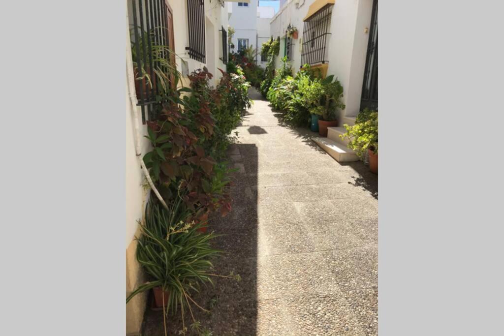 Apartamento Con Azotea Privada Para Parejas Y Familias 科尼尔-德拉弗龙特拉 外观 照片